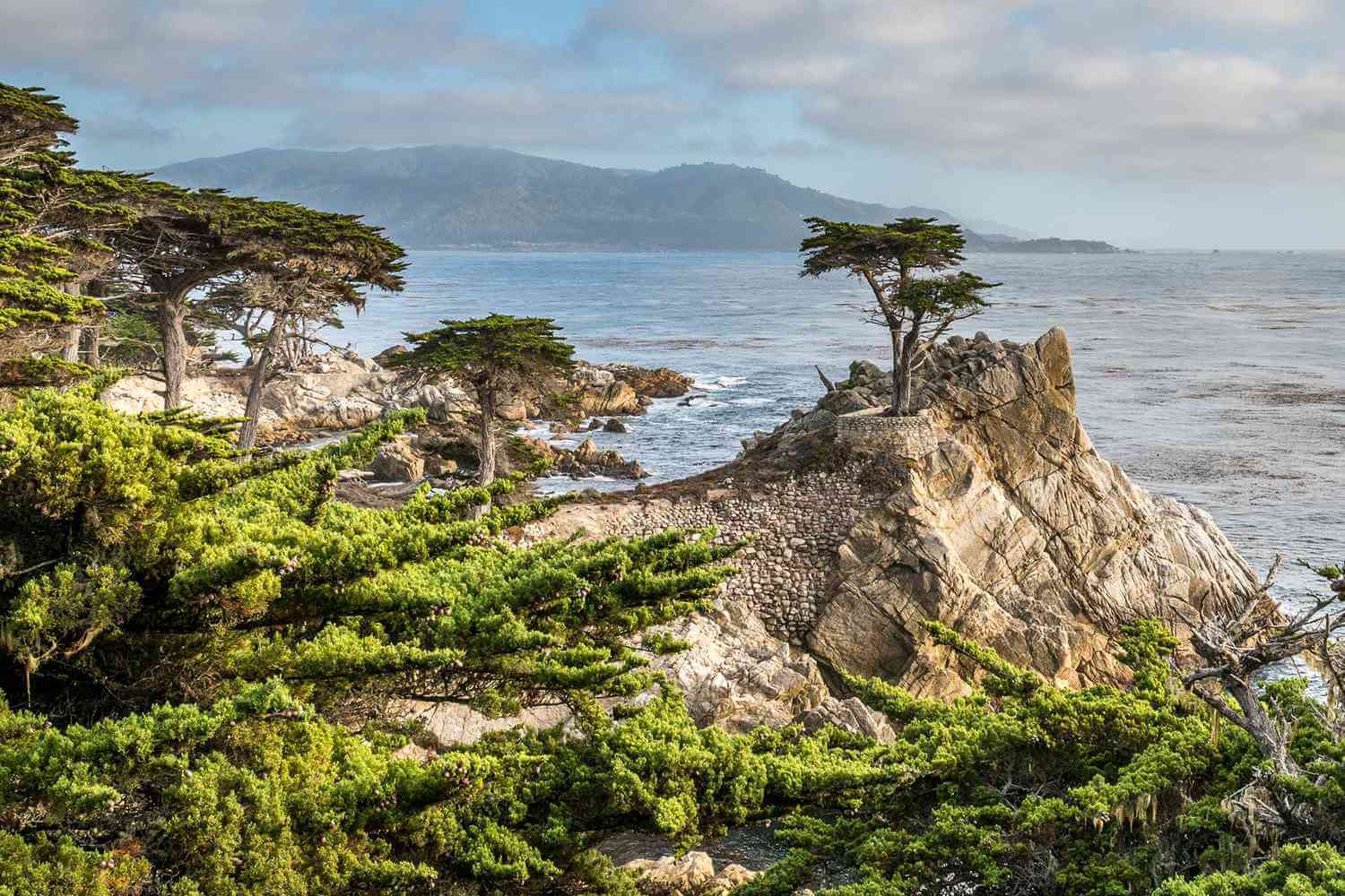 Presidio Park