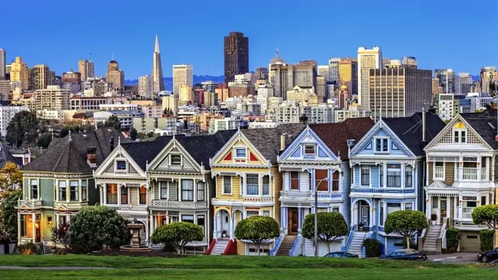 Painted Ladies