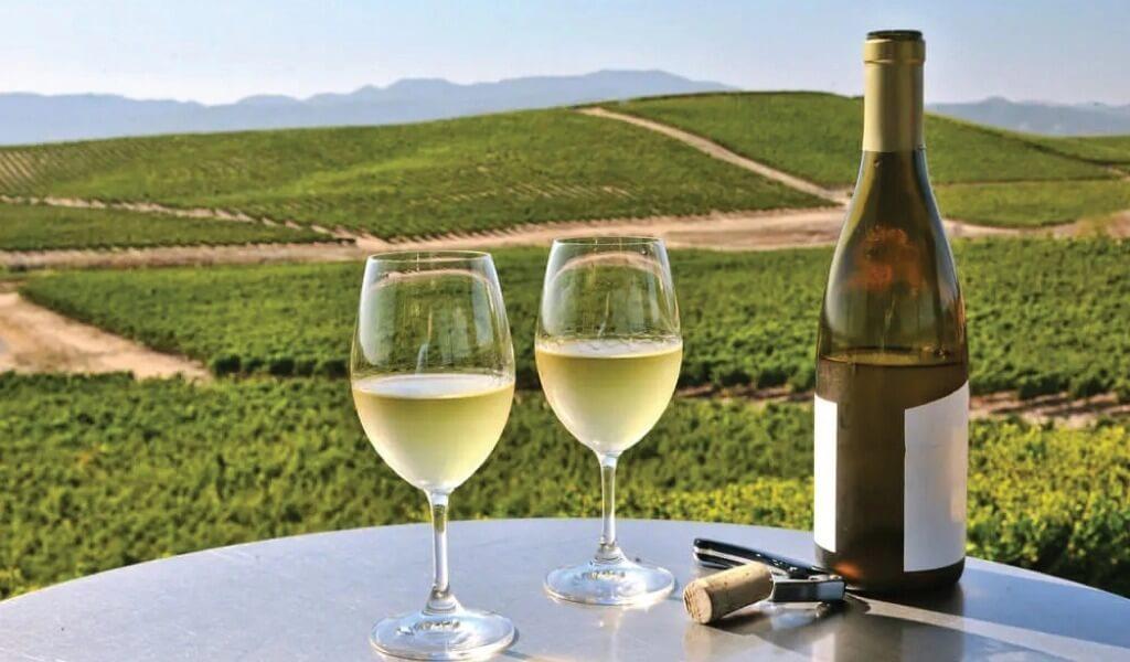 Cata de vino